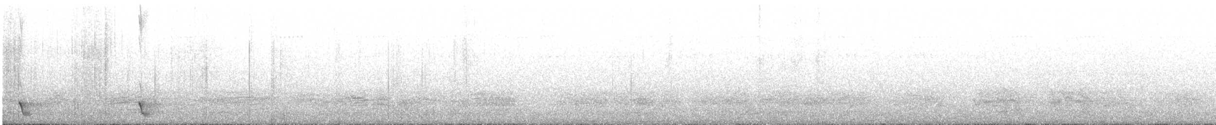 Schwarzkehl-Honigfresser - ML640289114