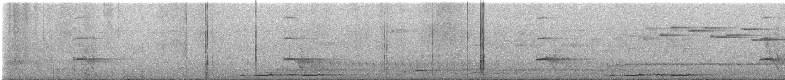 Bar-shouldered Dove - ML640290261