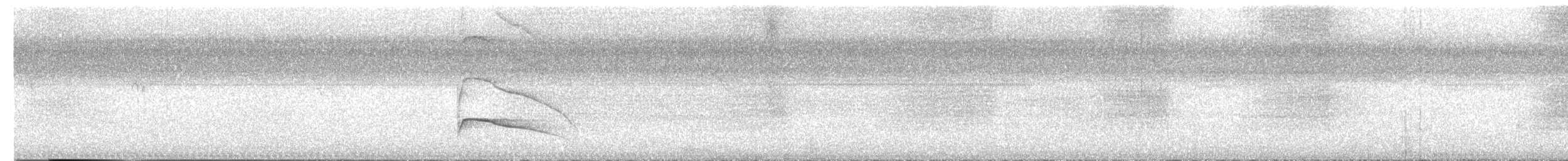Gray-lined Hawk - ML640290530