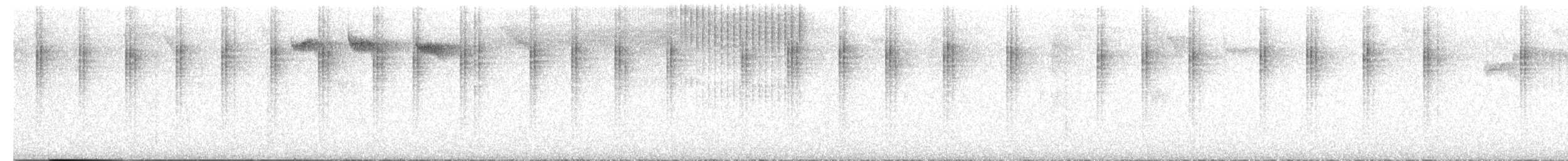Colibri moucheté - ML640290557