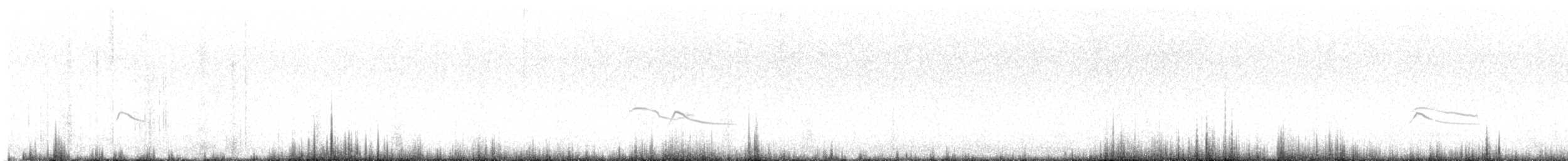 Say's Phoebe - ML640291388
