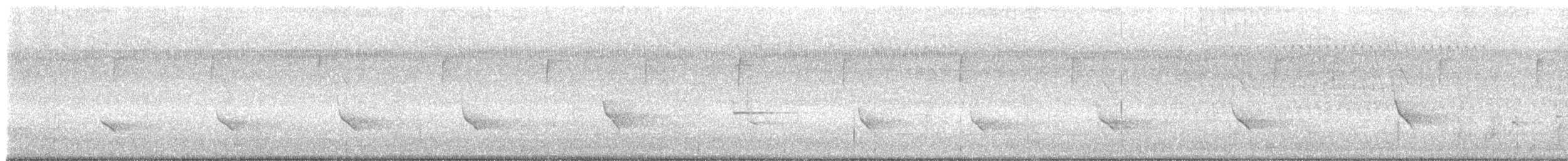 Скопа західна (підвид carolinensis) - ML640292659
