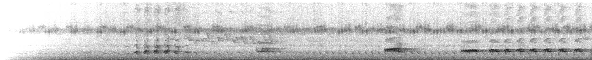 Lesser Ground-Cuckoo - ML640292717