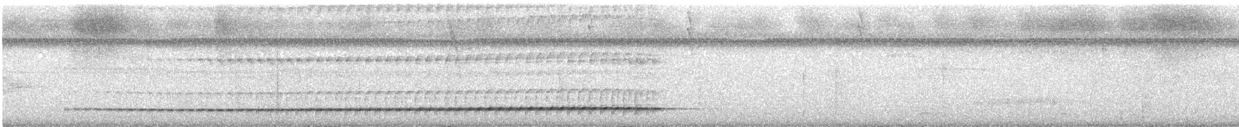 Black-hooded Antthrush - ML640292842