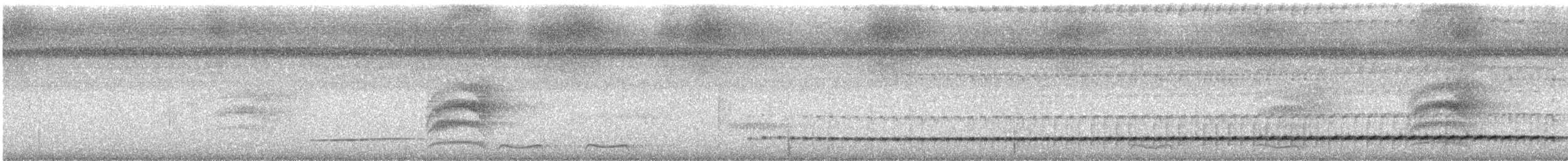 Black-hooded Antthrush - ML640292844