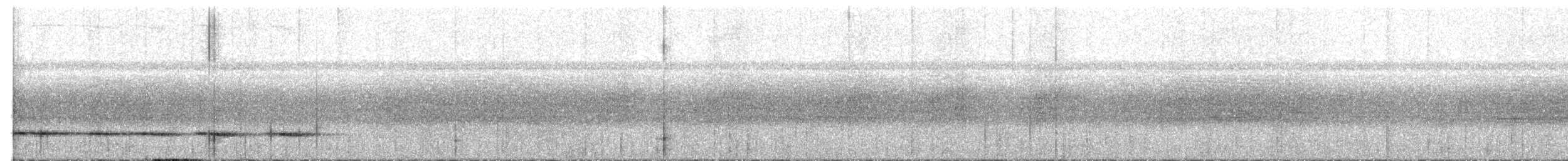 シマムネモリジアリドリ（intermedius） - ML640294247
