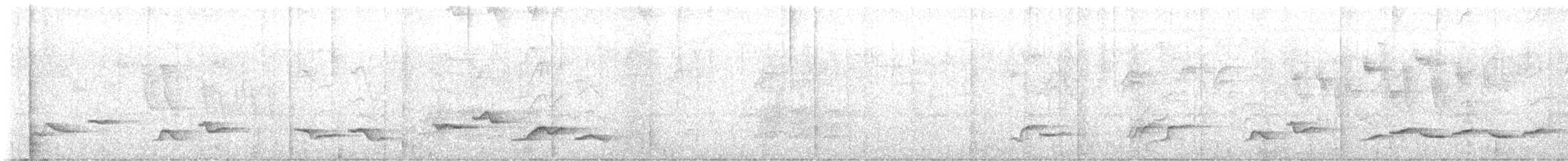 ハシグロムジツグミ（ignobilis／goodfellowi） - ML640294499