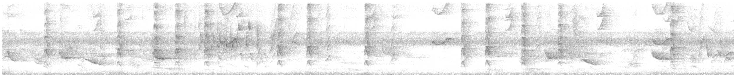 regnbueparakitt - ML640295439