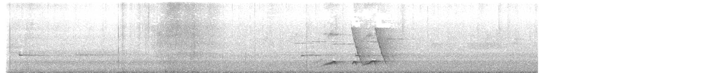 Noisy Pitta - ML640296374