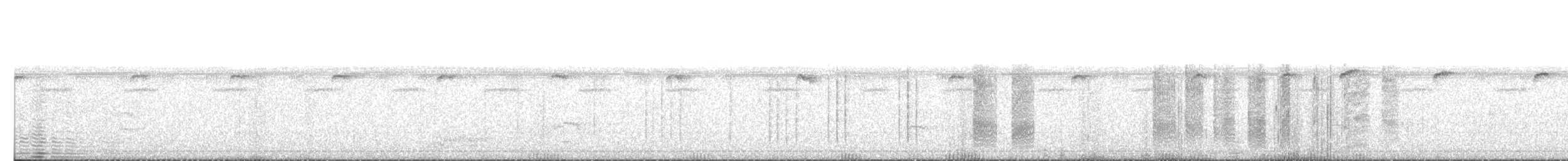 Rufous-breasted Hermit - ML640296859