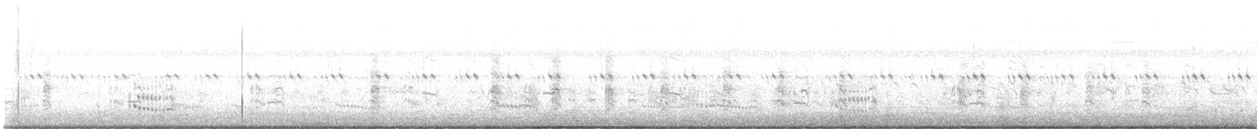 Clapper Rail - ML640297041