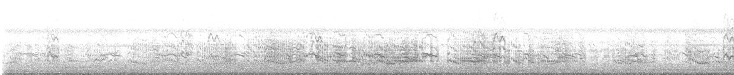 Royal Tern - ML640297102