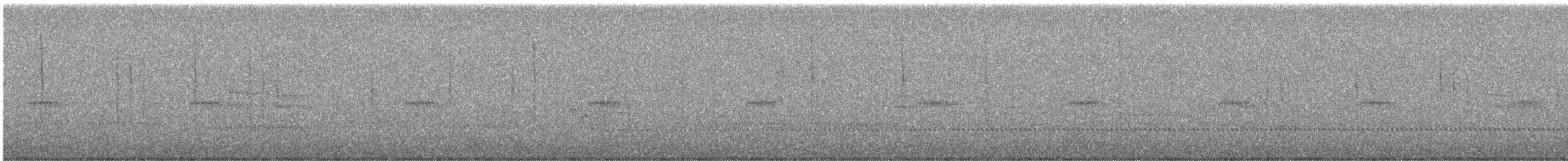 Rivoli's Hummingbird - ML640297220