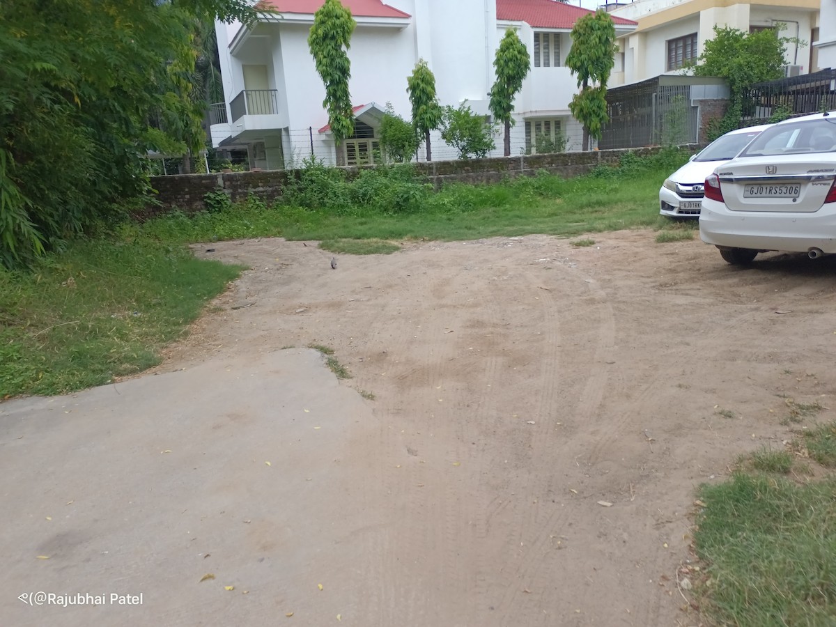 Scaly-breasted Munia - ML640297823