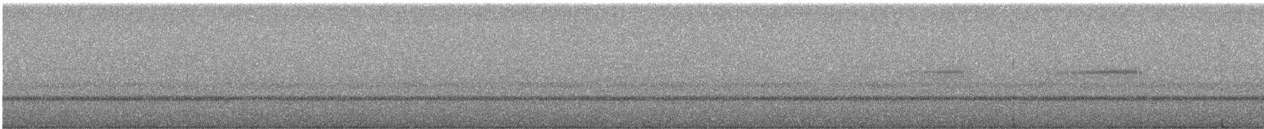 Mexican Whip-poor-will - ML640297850