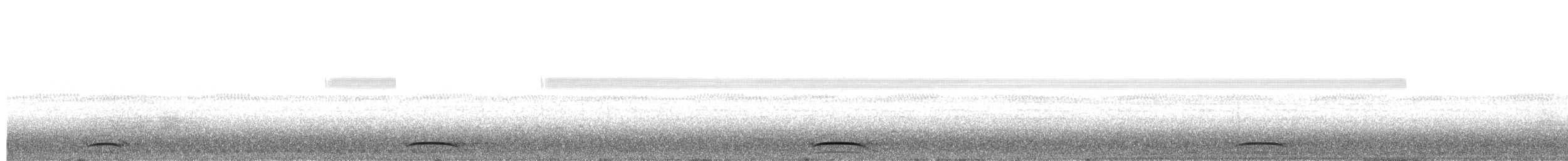 Collared Forest-Falcon - ML640298396