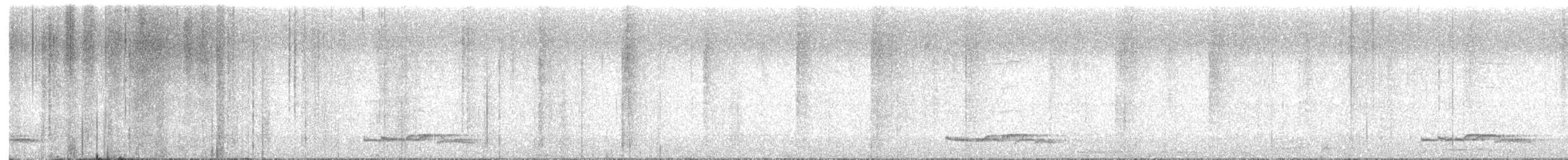 Long-tailed Manakin - ML640300118