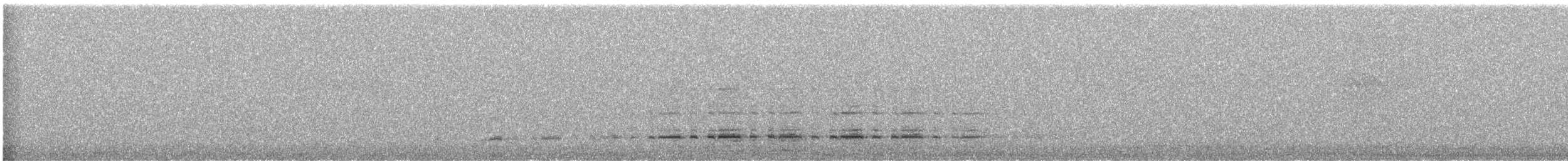 Magellanic Snipe - ML640300578