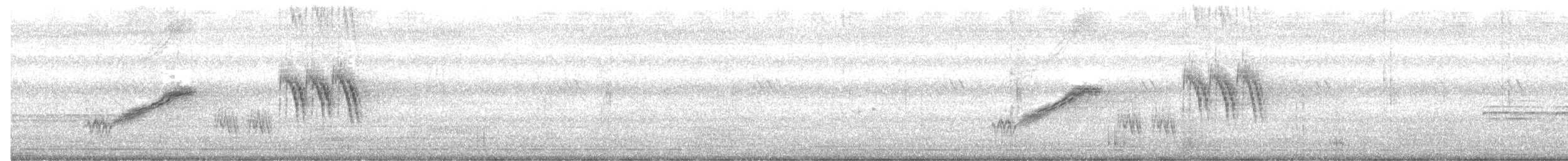 White-browed Wagtail - ML640301119