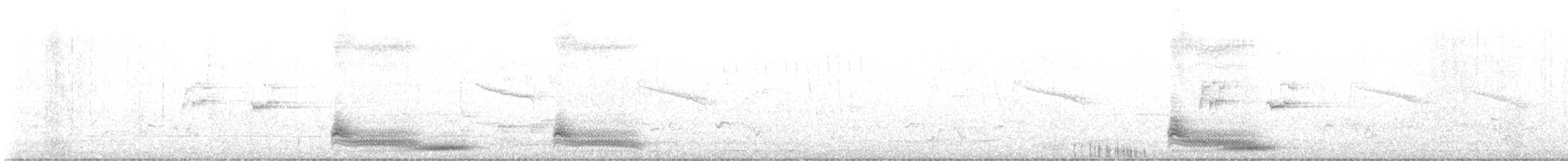 Tropical Boubou - ML640303830