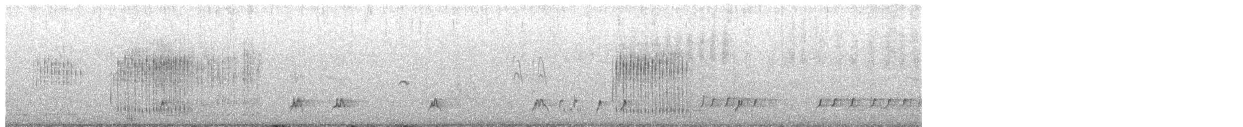 Grive draine - ML640304184