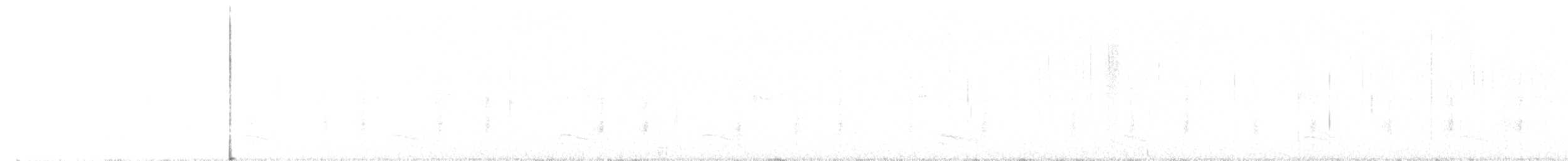 Variable Antshrike - ML640304449