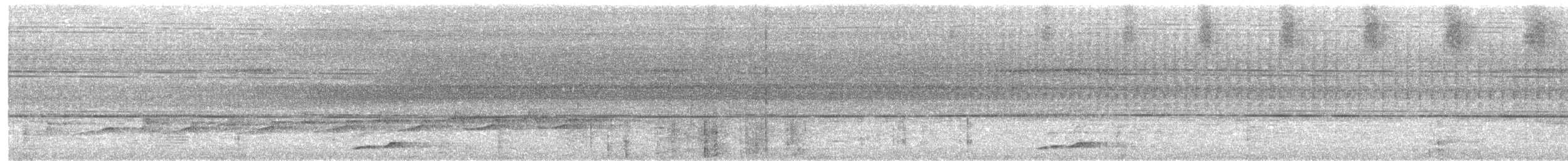 Sunda Scimitar-Babbler - ML640304646