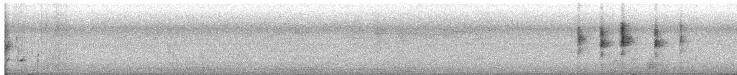 White-eared Monarch - ML640305855