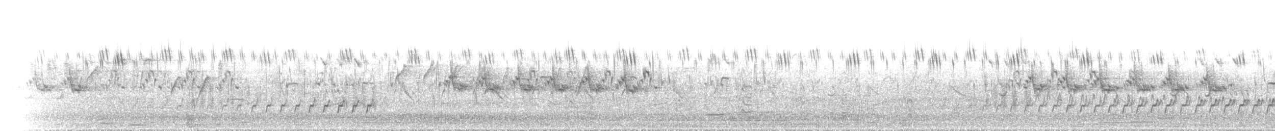 Rock Bush-Quail - ML640306487
