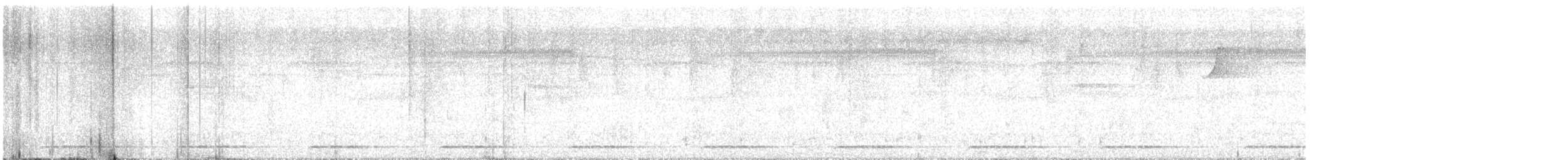 barbet čárkovaný - ML640307723