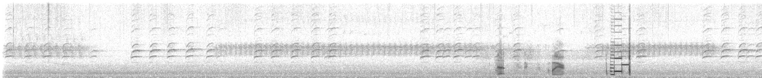 Bindenkreuzschnabel - ML640309143