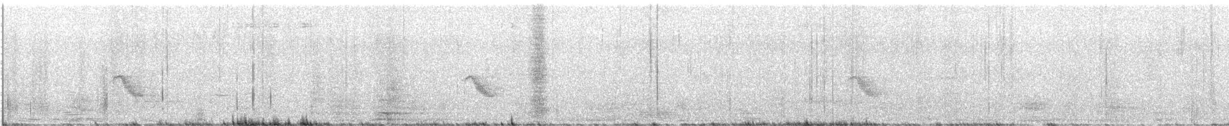 Bicknell's Thrush - ML640310052