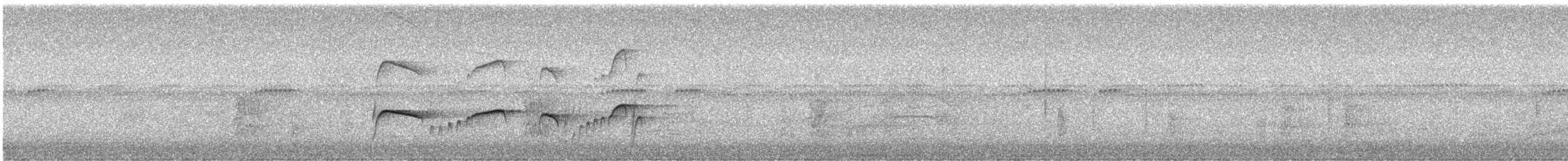 Southern Antpipit - ML640310400