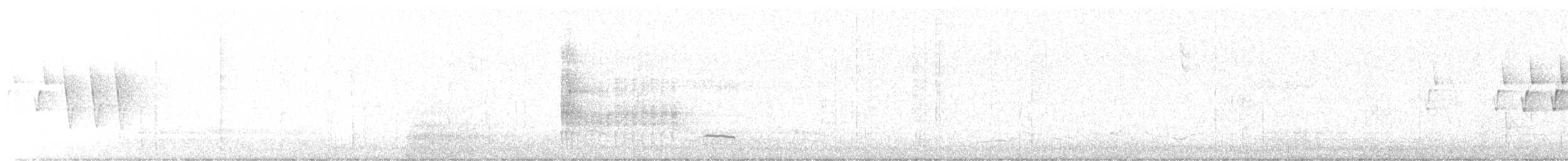 Northern Waterthrush - ML640310566