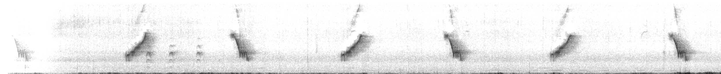 Pipit à dos uni - ML640311001