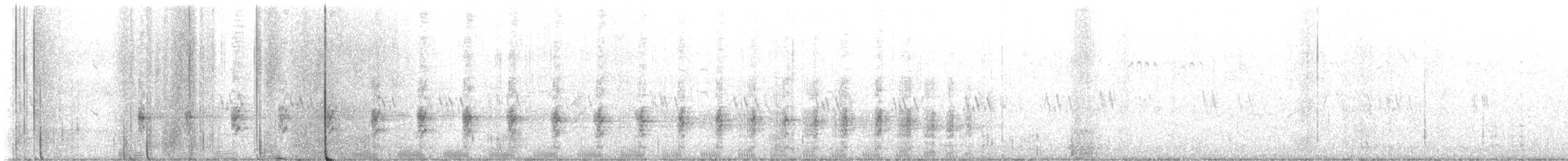 Virginia Rail - ML640312194