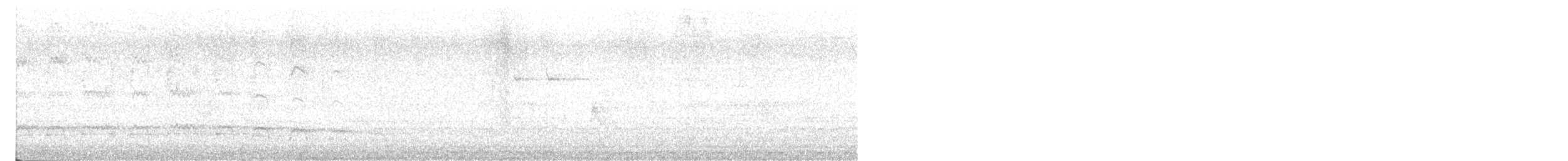 Pied Cuckoo - ML640312977