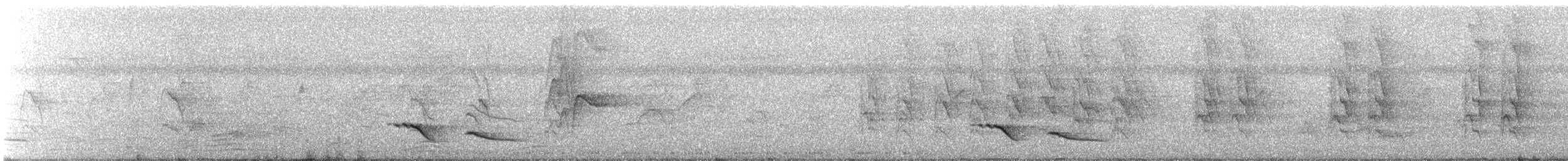 Common Iora - ML640314522