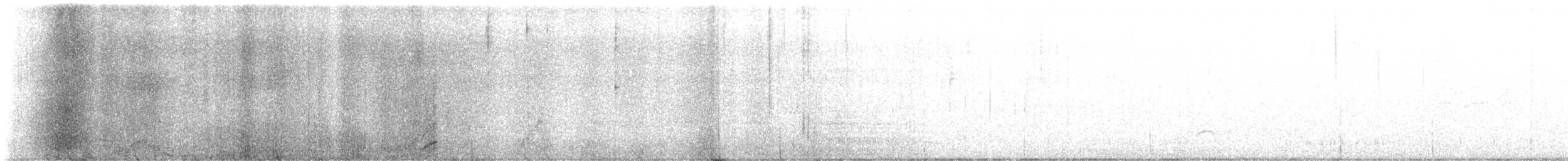 Canada Jay - ML640314799