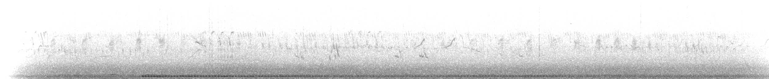 Barred Buttonquail - ML640315343