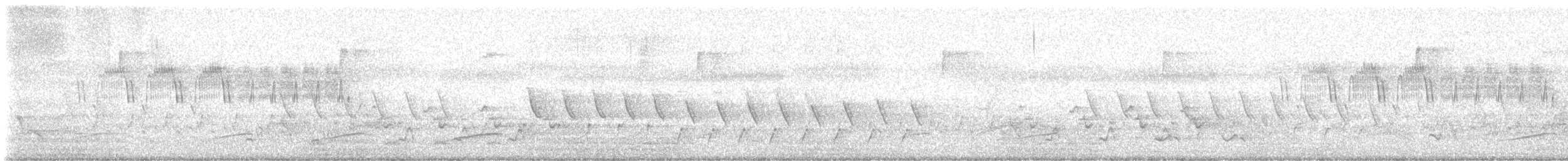 Northern Parula - ML640316529