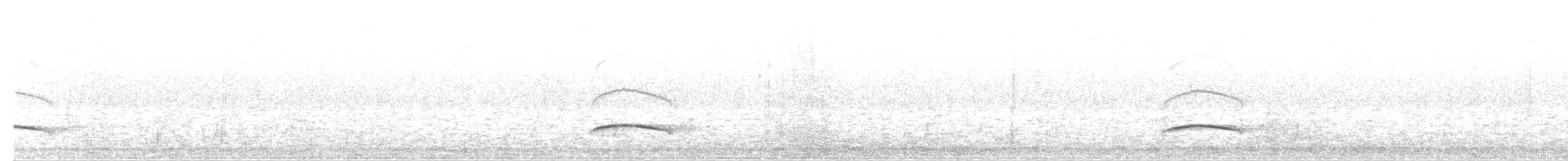 Dusky-capped Flycatcher - ML640316997