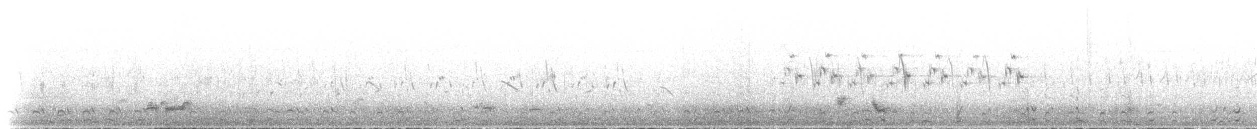 Barred Buttonquail - ML640317205