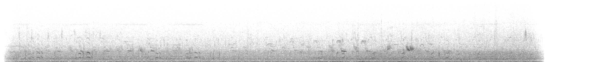Barred Buttonquail - ML640317206