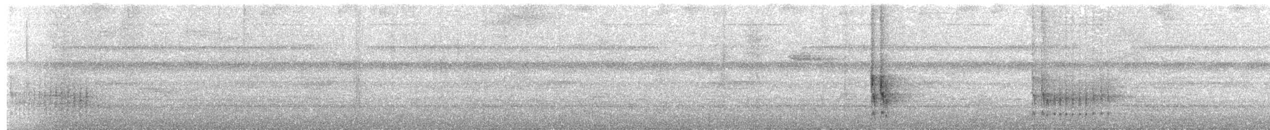 Troglodyte à calotte noire - ML640317275