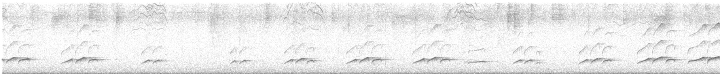 Bright-rumped Attila - ML640317604