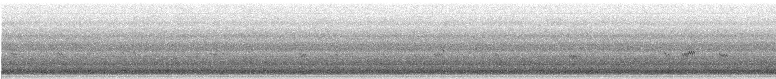 peep sp. - ML640317810