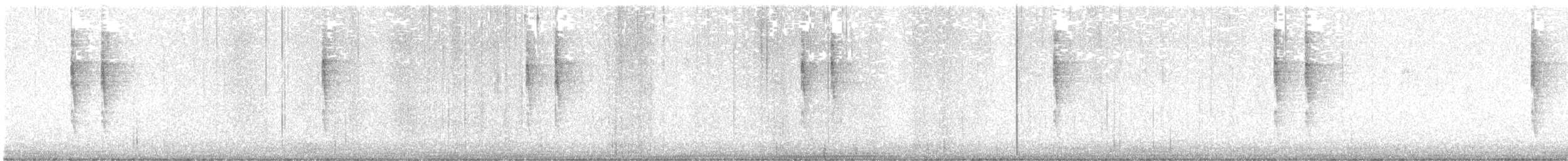 Pacific Wren - ML640319020