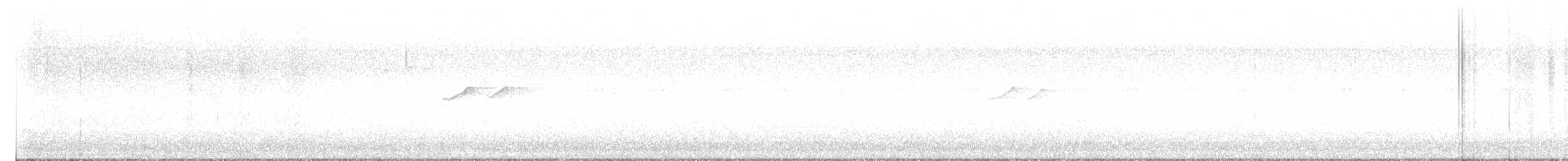 Solitary Sandpiper - ML640319122