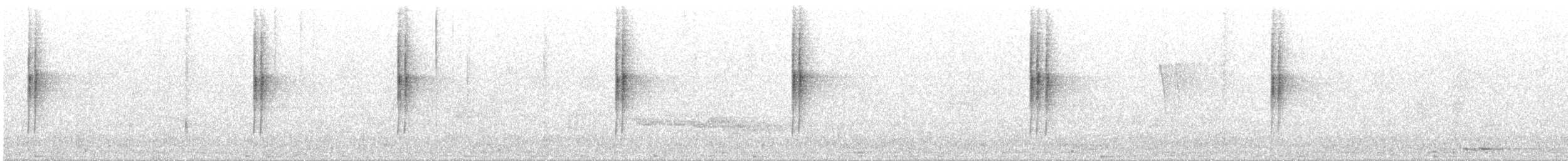Gray-bellied Tesia - ML640319570